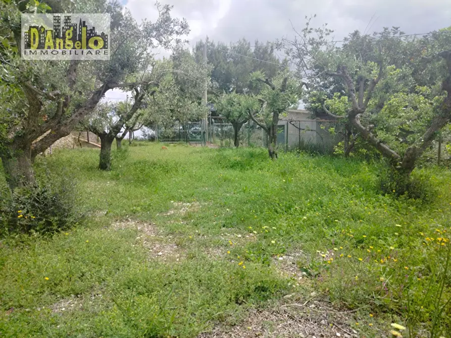 Immagine 37 di Casa indipendente in vendita  a Ripatransone