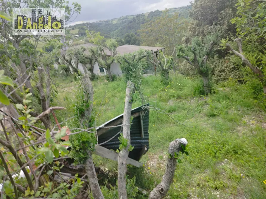 Immagine 38 di Casa indipendente in vendita  a Ripatransone