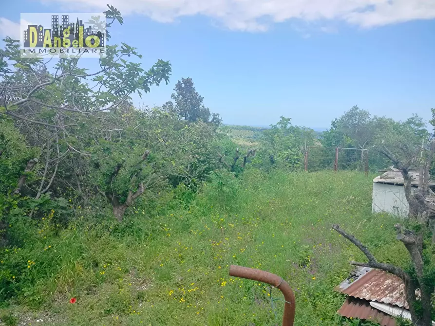 Immagine 39 di Casa indipendente in vendita  a Ripatransone