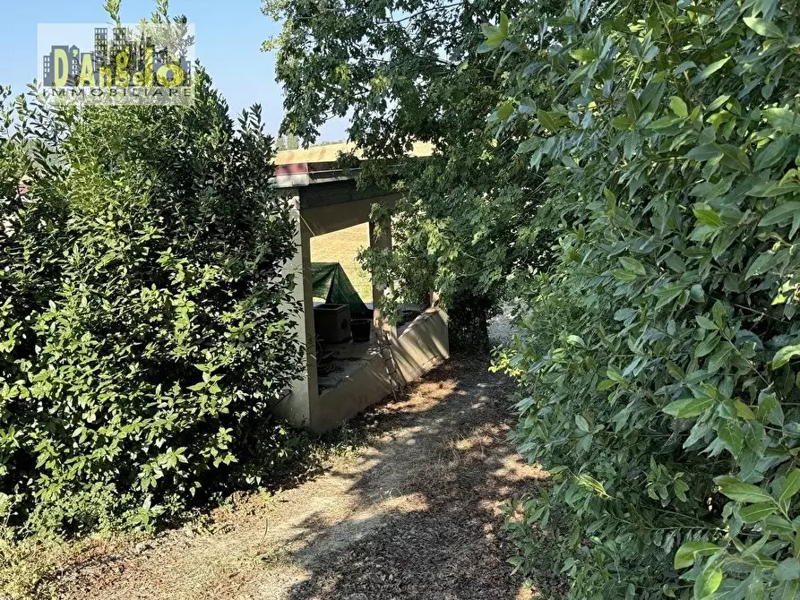 Immagine 34 di Villa in vendita  in Via Tesino 243/B a Offida