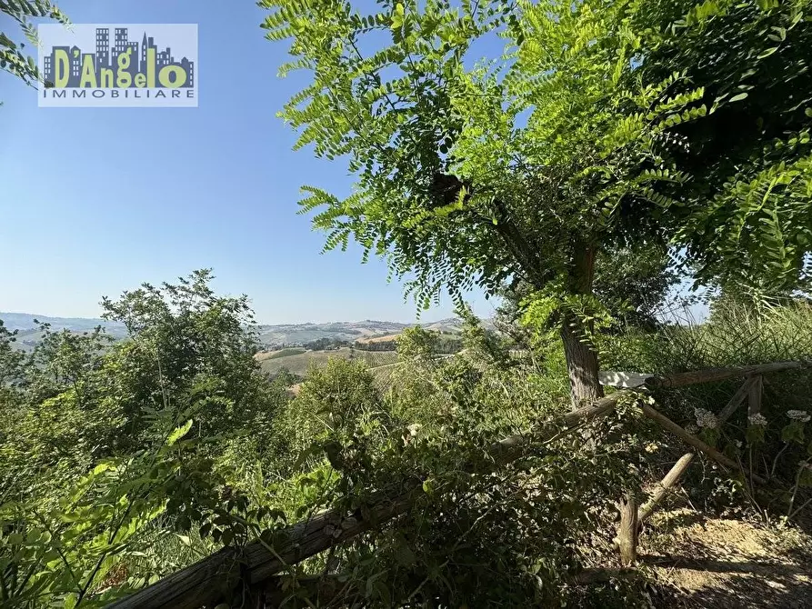 Immagine 35 di Villa in vendita  in Via Tesino 243/B a Offida