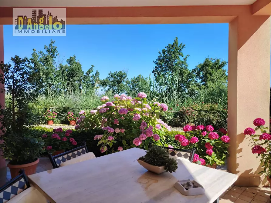 Immagine 6 di Villa in vendita  in Via Tesino 243/B a Offida