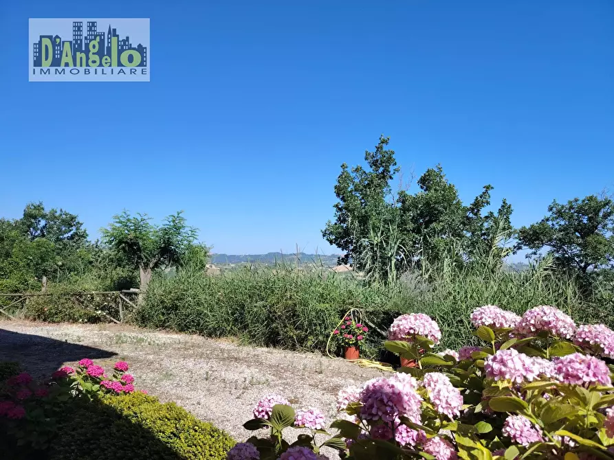 Immagine 9 di Villa in vendita  in Via Tesino 243/B a Offida