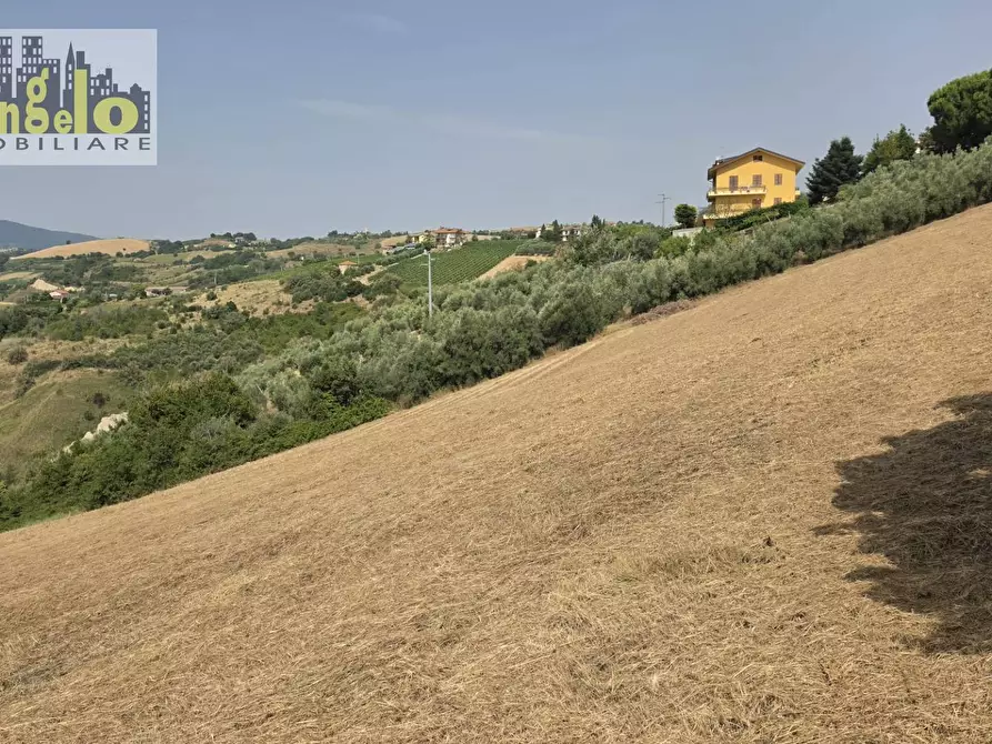 Immagine 17 di Casa indipendente in vendita  in Via Carlo Alberto dalla Chiesa snc a Offida