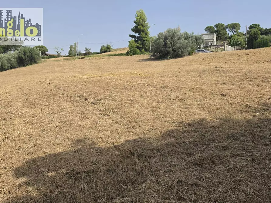 Immagine 8 di Casa indipendente in vendita  in Via Carlo Alberto dalla Chiesa snc a Offida