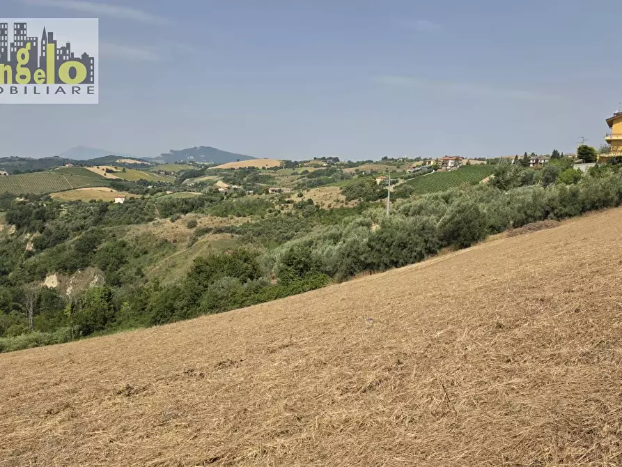 Immagine 12 di Casa indipendente in vendita  in Via Carlo Alberto dalla Chiesa snc a Offida