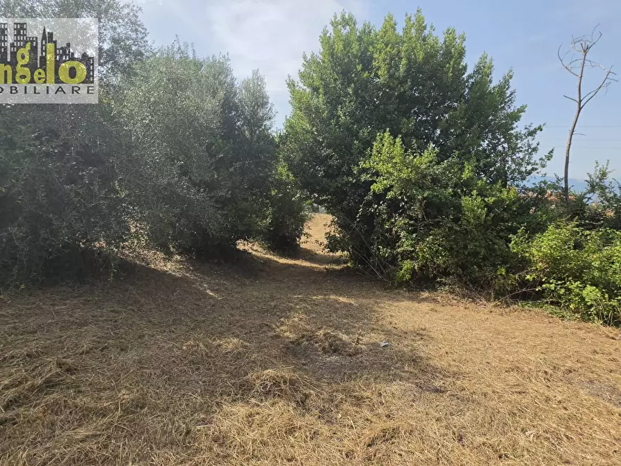 Immagine 7 di Casa indipendente in vendita  in Via Carlo Alberto dalla Chiesa snc a Offida
