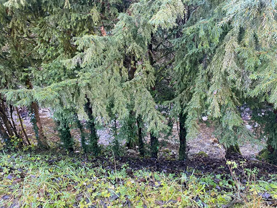 Immagine 33 di Casa indipendente in vendita  in VIA NUOVA 2 a Vobarno