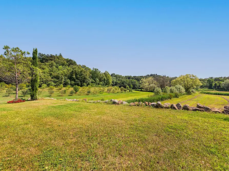 Immagine 26 di Villa in vendita  in Via dei Colli 15 a Calvagese Della Riviera