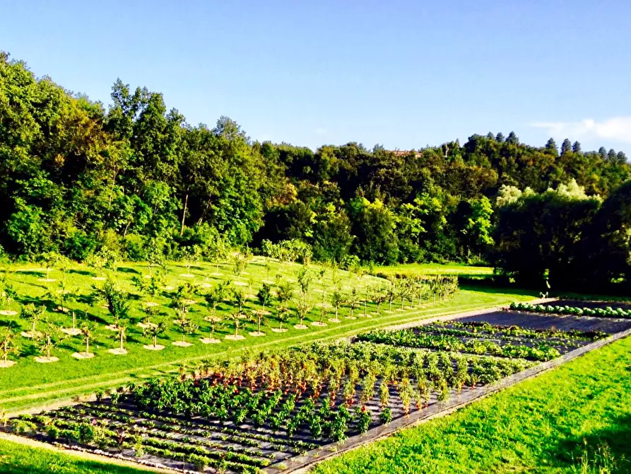 Immagine 30 di Villa in vendita  in Via dei Colli 15 a Calvagese Della Riviera