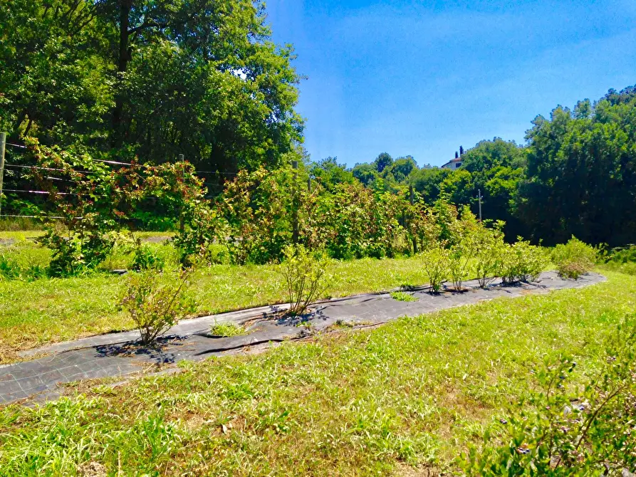 Immagine 33 di Villa in vendita  in Via dei Colli 15 a Calvagese Della Riviera