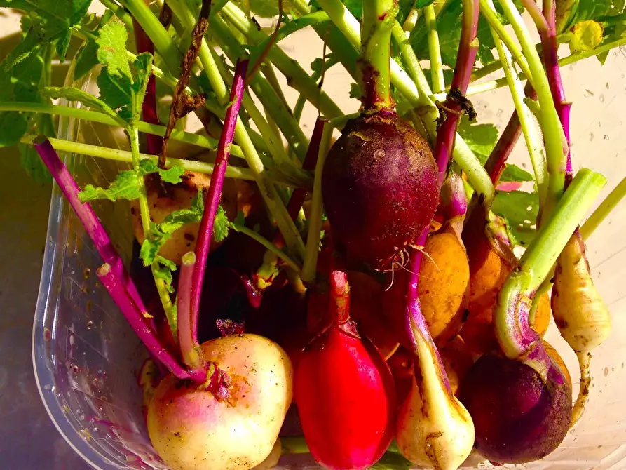 Immagine 34 di Villa in vendita  in Via dei Colli 15 a Calvagese Della Riviera