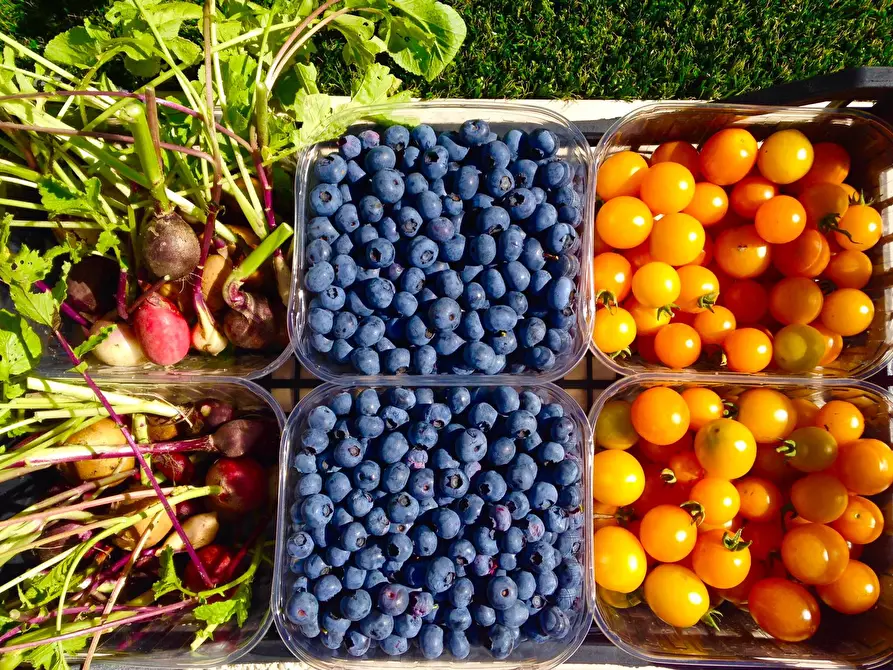 Immagine 35 di Villa in vendita  in Via dei Colli 15 a Calvagese Della Riviera