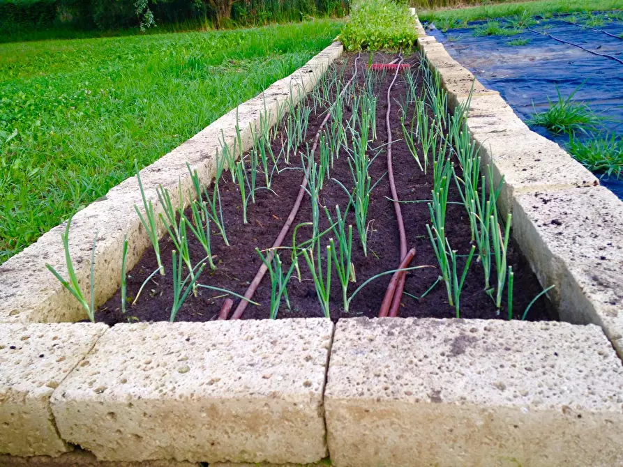 Immagine 36 di Villa in vendita  in Via dei Colli 15 a Calvagese Della Riviera