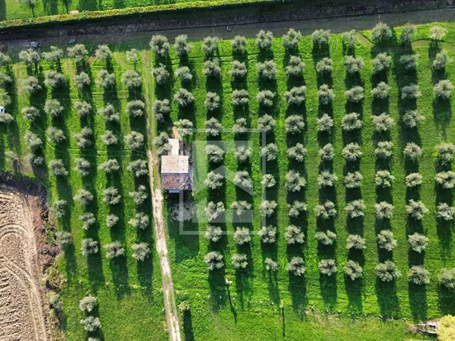 Immagine 5 di Terreno residenziale in vendita  a Calvagese Della Riviera