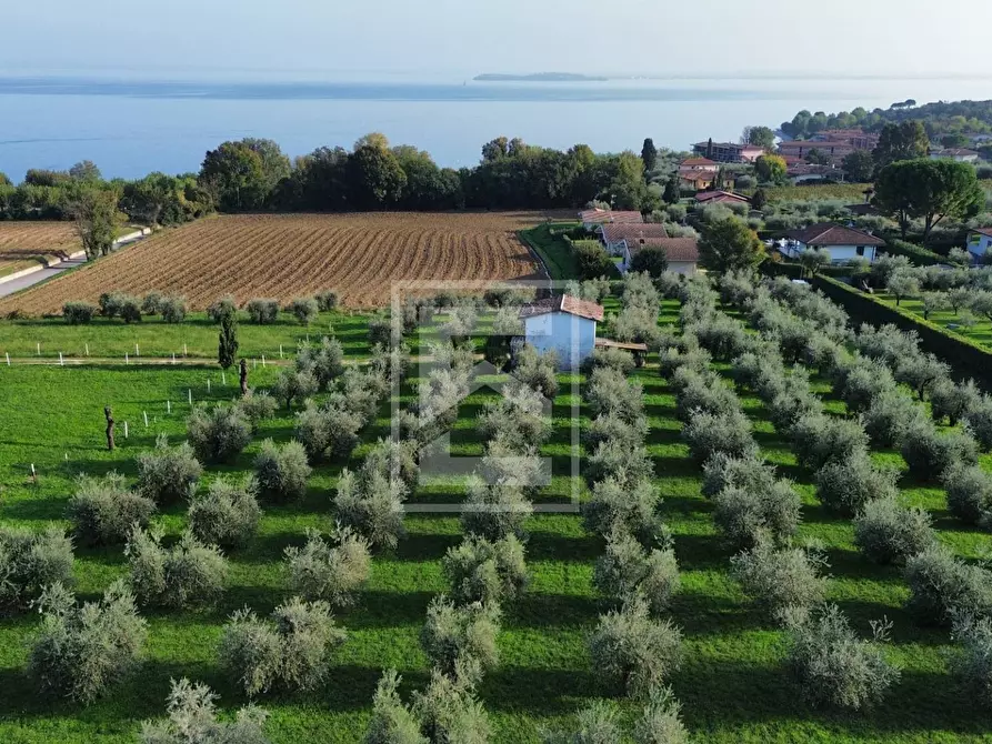 Immagine 1 di Terreno residenziale in vendita  a Calvagese Della Riviera