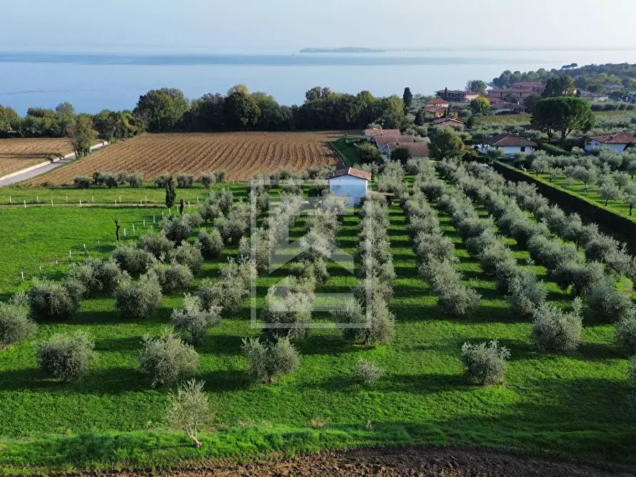 Immagine 3 di Terreno residenziale in vendita  a Calvagese Della Riviera