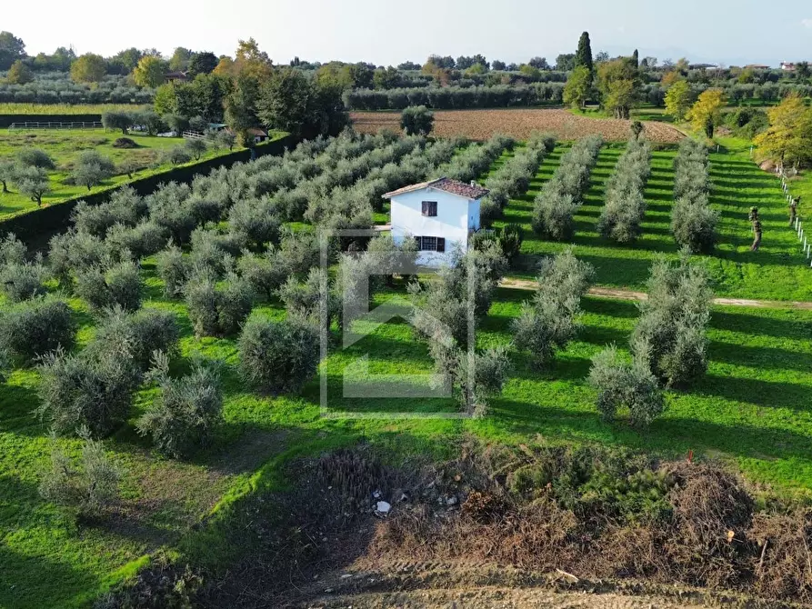 Immagine 8 di Terreno residenziale in vendita  a Calvagese Della Riviera