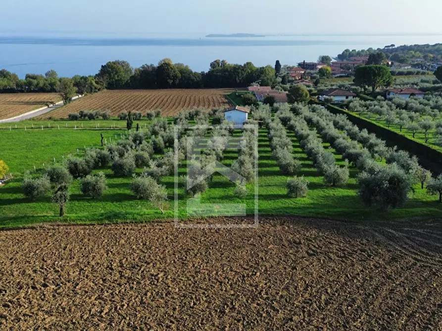 Immagine 4 di Terreno residenziale in vendita  a Calvagese Della Riviera