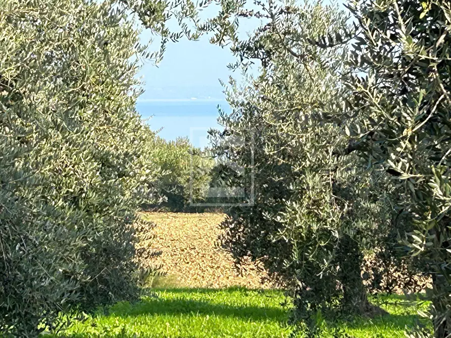 Immagine 9 di Terreno residenziale in vendita  a Calvagese Della Riviera
