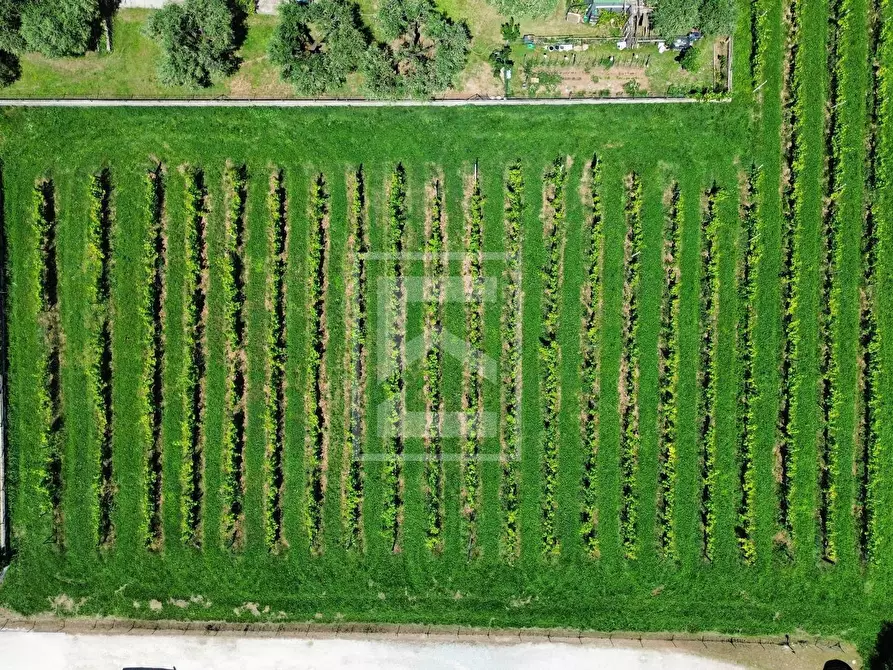 Immagine 45 di Rustico / casale in vendita  in Via San Vincenzo a Puegnago Sul Garda