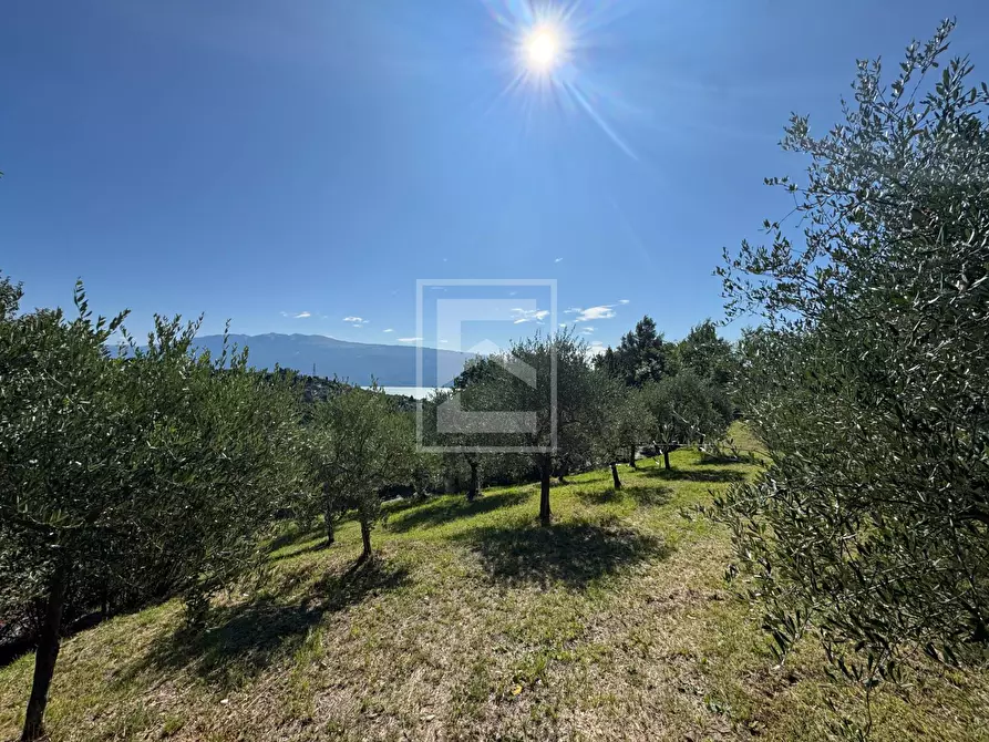 terreno agricolo in vendita a Toscolano-Maderno