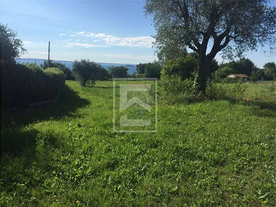 Immagine 6 di Terreno agricolo in vendita  in San Martino 63 a Calvagese Della Riviera