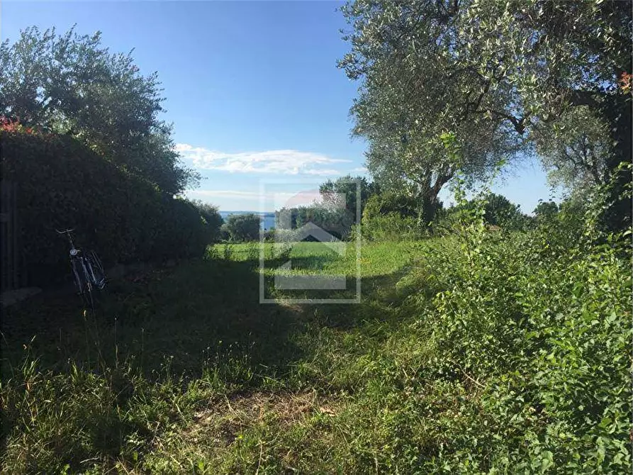 Immagine 8 di Terreno agricolo in vendita  in San Martino 63 a Calvagese Della Riviera