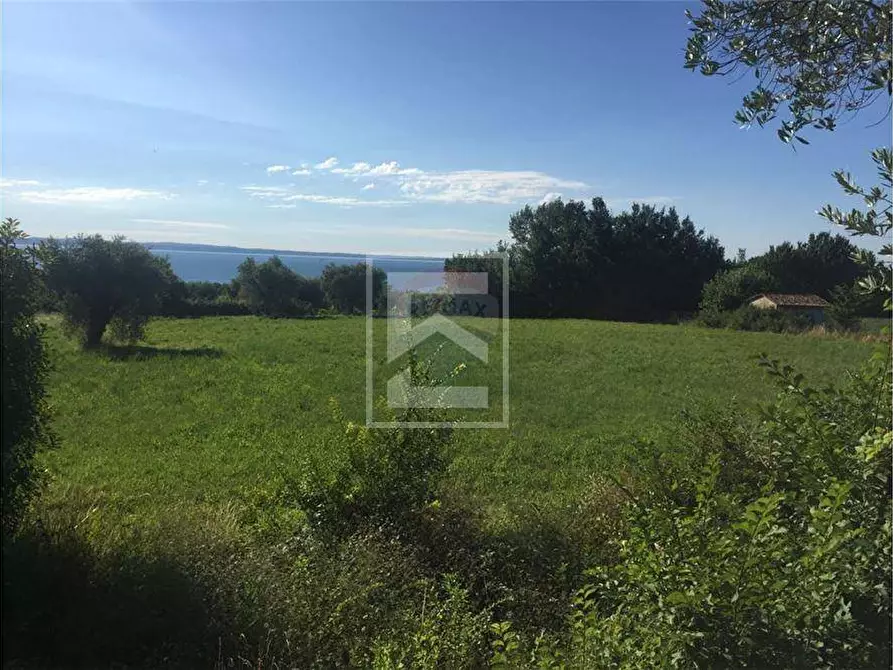 Immagine 5 di Terreno agricolo in vendita  in San Martino 63 a Calvagese Della Riviera