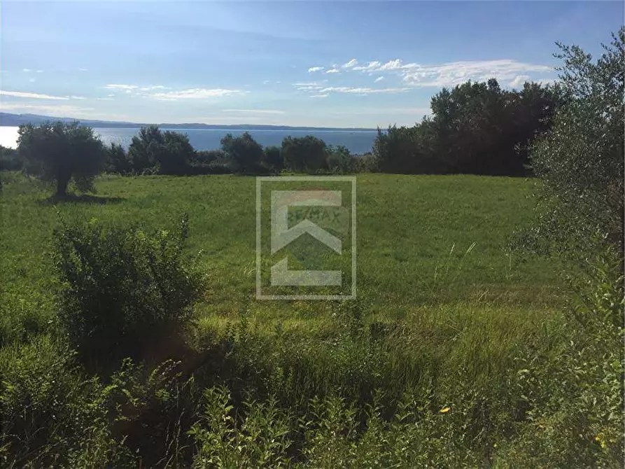 Immagine 4 di Terreno agricolo in vendita  in San Martino 63 a Calvagese Della Riviera