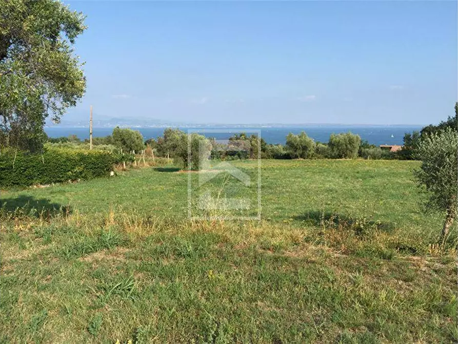 Immagine 2 di Terreno agricolo in vendita  in San Martino 63 a Calvagese Della Riviera