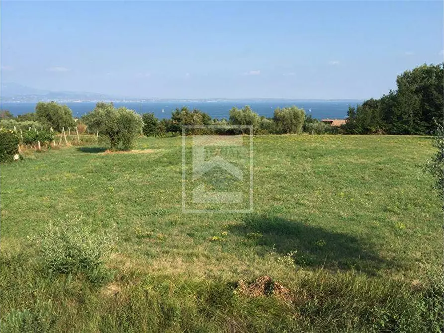 Immagine 3 di Terreno agricolo in vendita  in San Martino 63 a Calvagese Della Riviera