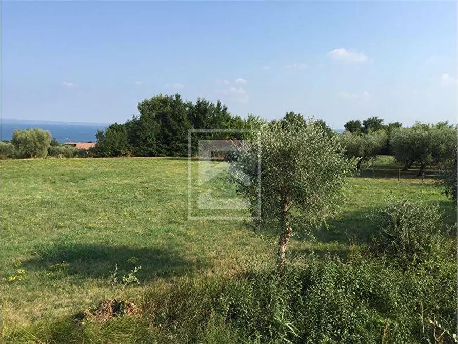 Immagine 7 di Terreno agricolo in vendita  in San Martino 63 a Calvagese Della Riviera