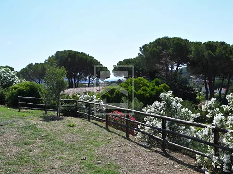 Immagine 11 di Villa in vendita  in Via Prato Arighetto a Campo Nell'elba