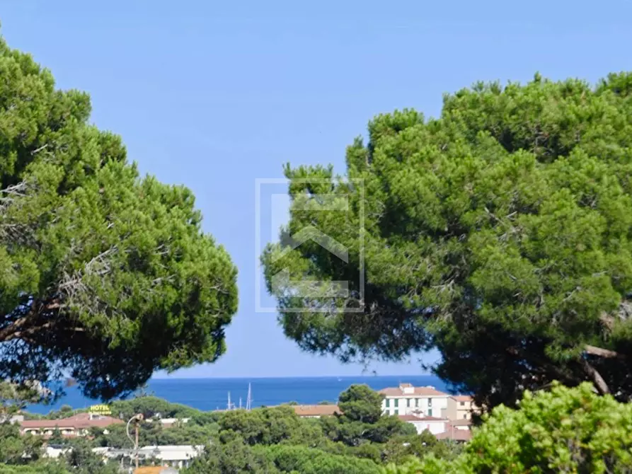 Immagine 6 di Villa in vendita  in Via Prato Arighetto a Campo Nell'elba