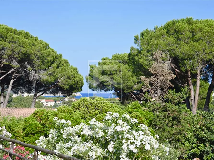 Immagine 32 di Villa in vendita  in Via Prato Arighetto a Campo Nell'elba