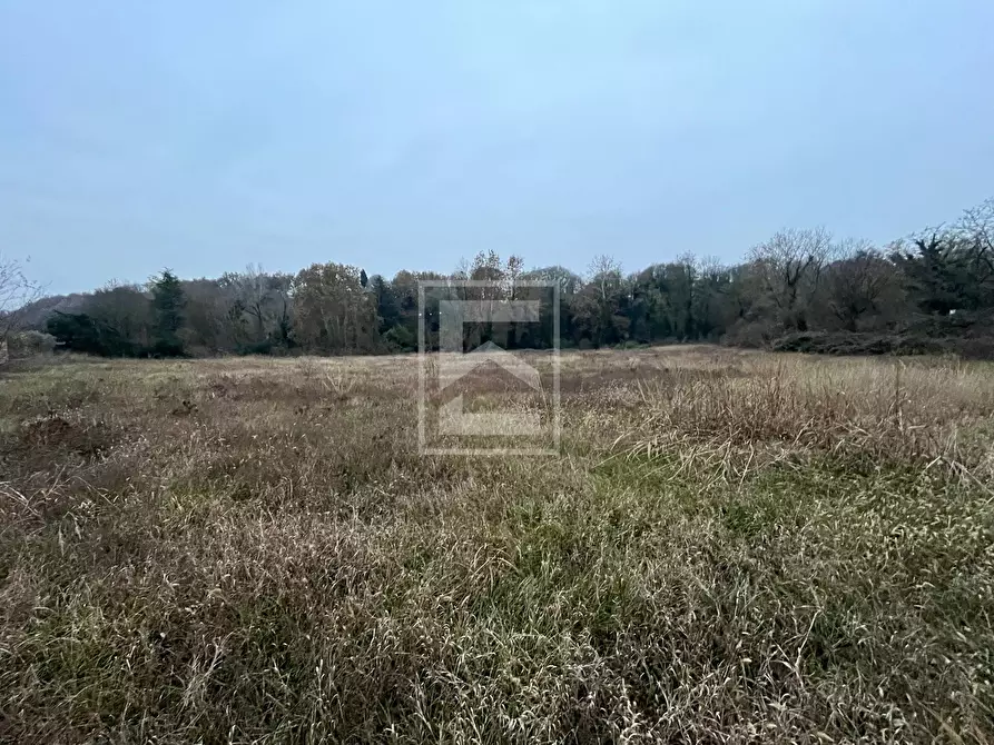 Immagine 3 di Terreno residenziale in vendita  in via belvedere monzambano a Monzambano
