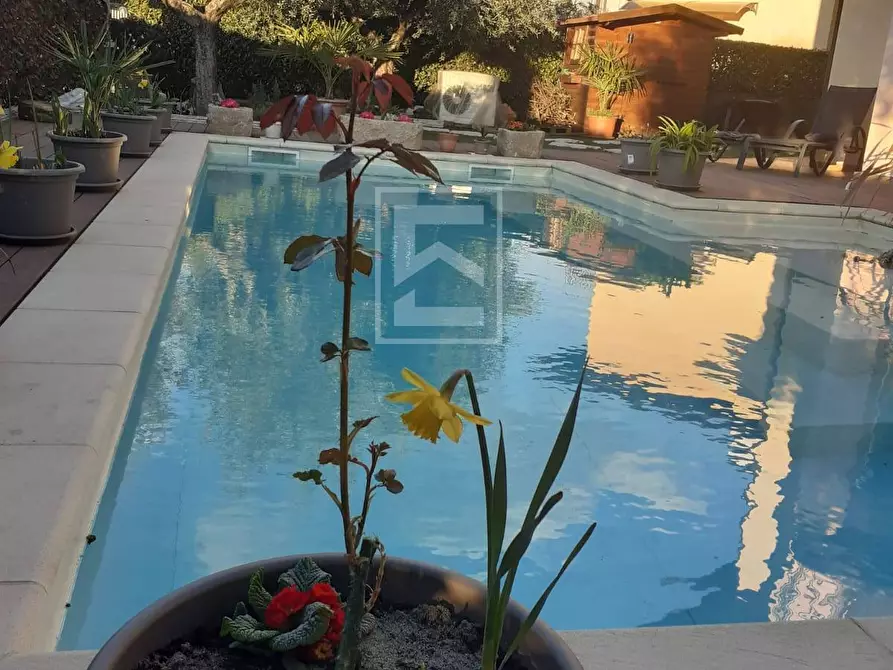 Immagine 20 di Appartamento in vendita  in via boschette 81 a Acquafredda