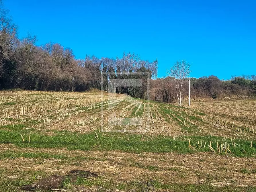 Immagine 17 di Casa semindipendente in vendita  in Strada Pozzolengo a Ponti Sul Mincio