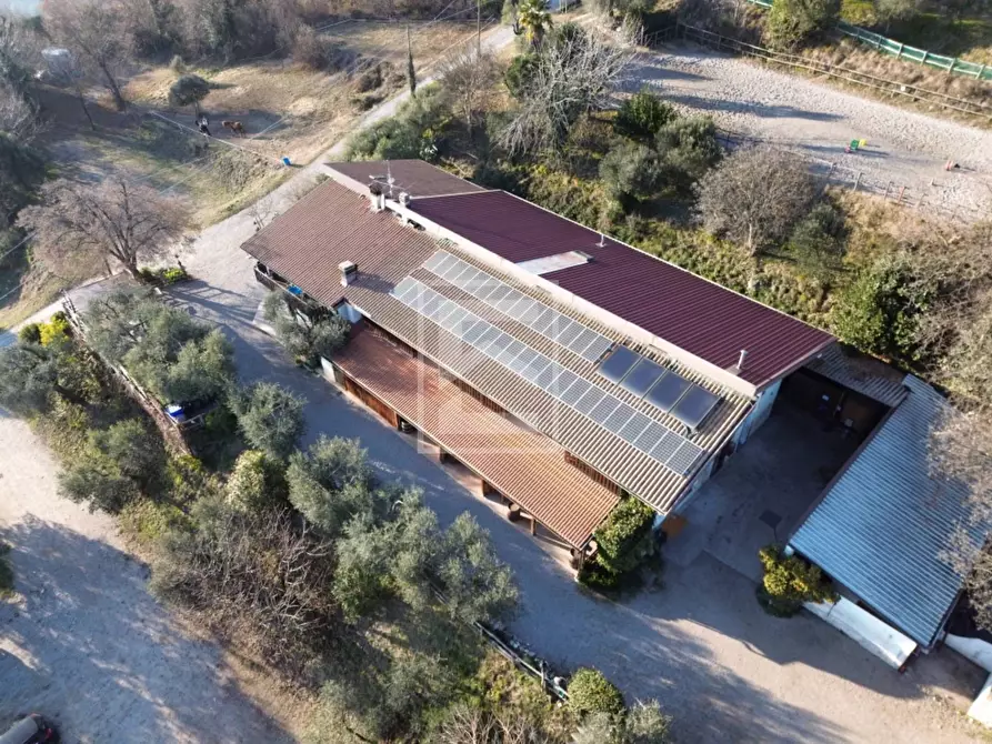 Immagine 4 di Agriturismo in vendita  in Via Castello 10 a Toscolano-Maderno