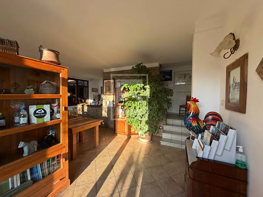 Immagine 20 di Agriturismo in vendita  in Via Castello 10 a Toscolano-Maderno