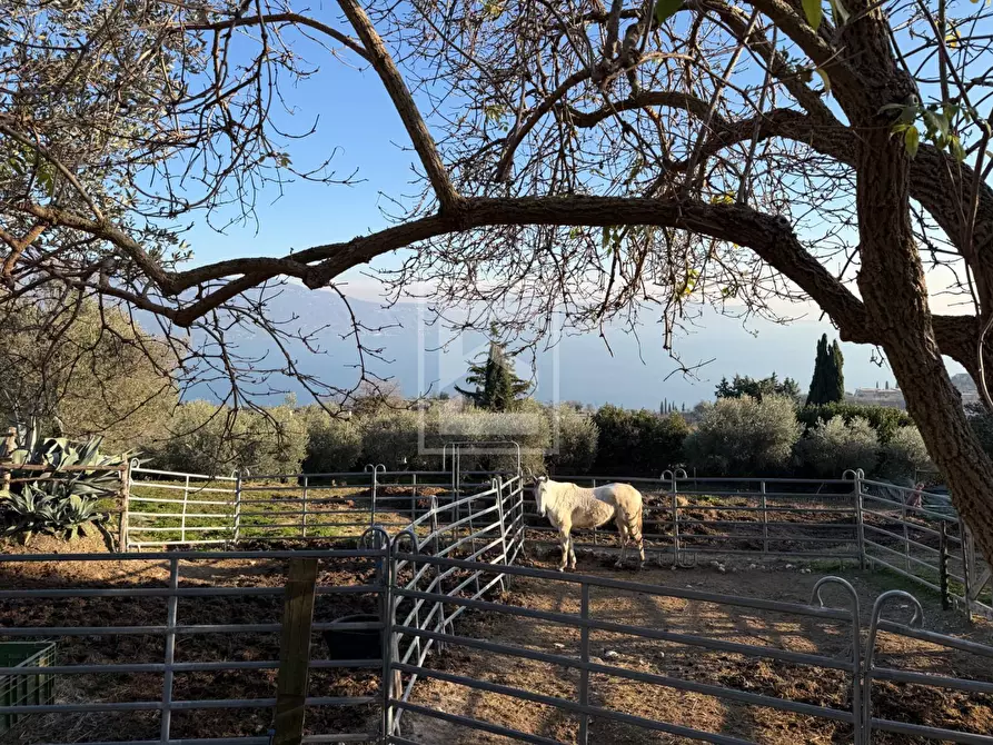 Immagine 25 di Agriturismo in vendita  in Via Castello 10 a Toscolano-Maderno