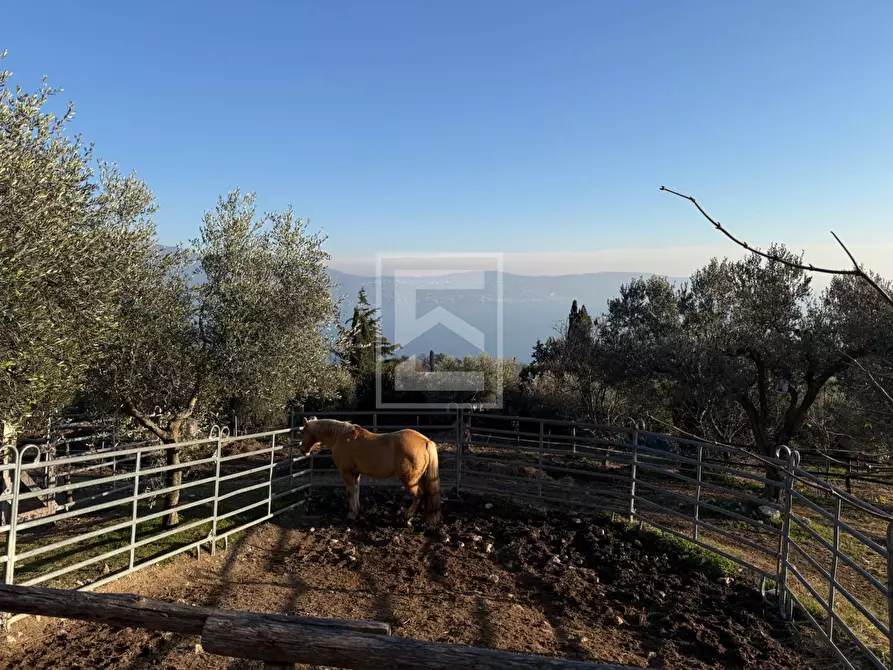 Immagine 26 di Agriturismo in vendita  in Via Castello 10 a Toscolano-Maderno