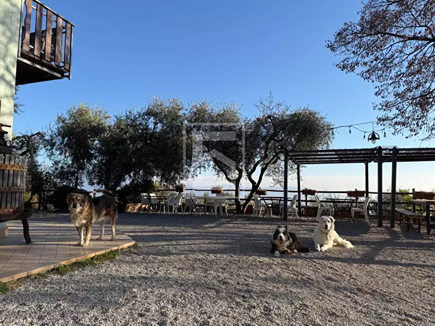 Immagine 7 di Agriturismo in vendita  in Via Castello 10 a Toscolano-Maderno