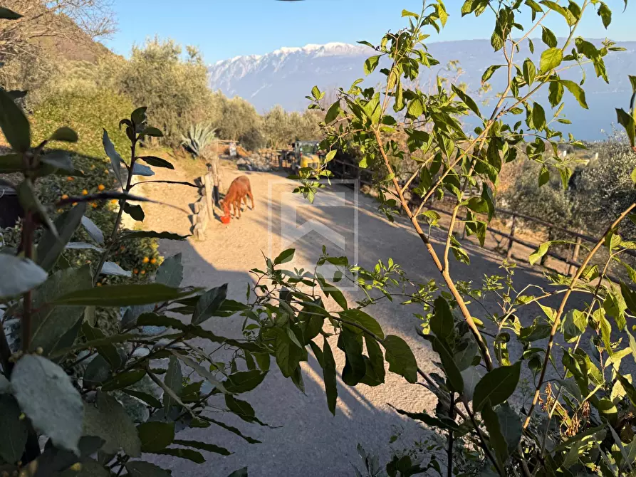 Immagine 29 di Agriturismo in vendita  in Via Castello 10 a Toscolano-Maderno