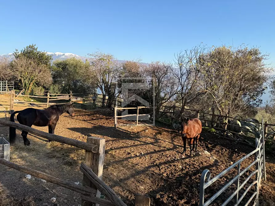 Immagine 9 di Agriturismo in vendita  in Via Castello 10 a Toscolano-Maderno