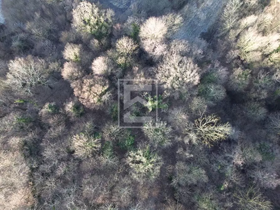 Immagine 6 di Terreno agricolo in vendita  in Via XXV Aprile a Barghe