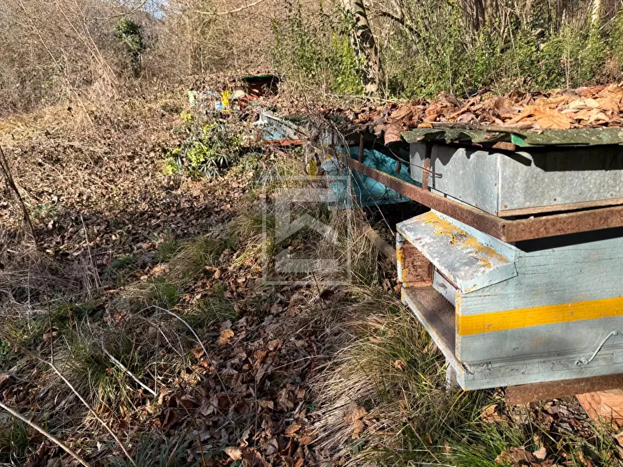 Immagine 18 di Terreno agricolo in vendita  in Via XXV Aprile a Barghe