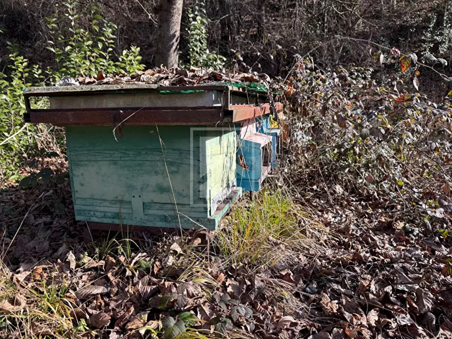 Immagine 20 di Terreno agricolo in vendita  in Via XXV Aprile a Barghe