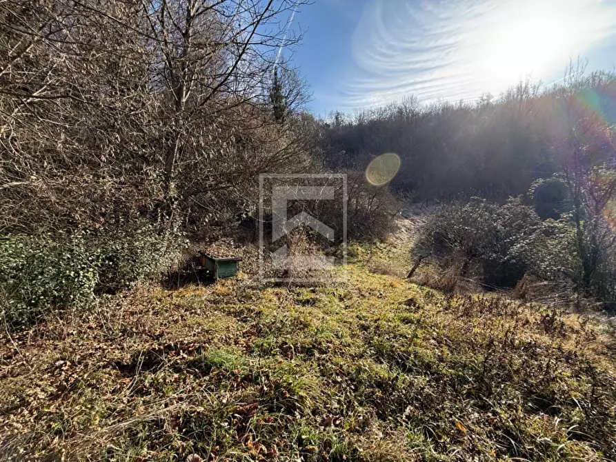 Immagine 23 di Terreno agricolo in vendita  in Via XXV Aprile a Barghe